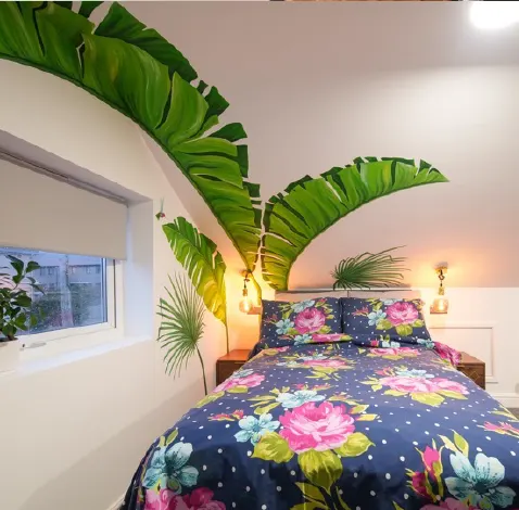 hmo mentor hmo mentor