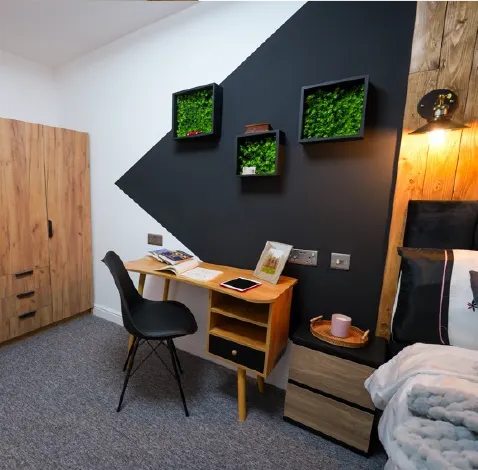 investing mentor investing mentor