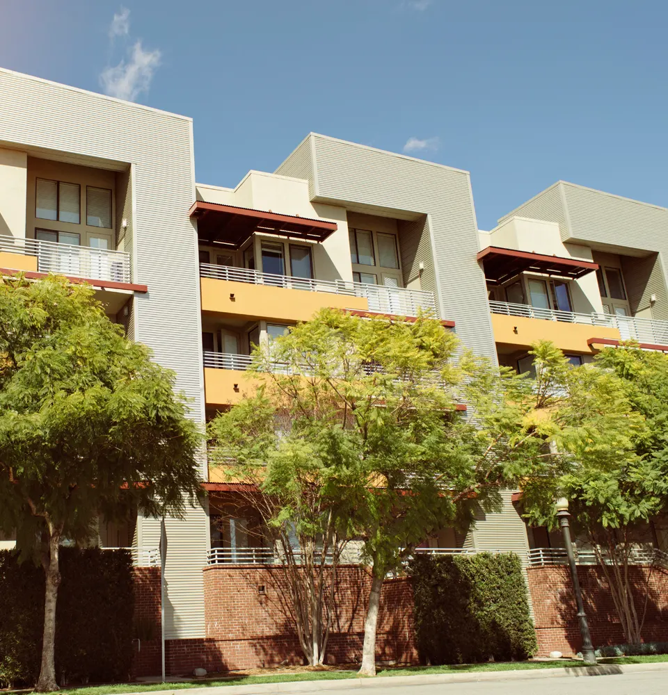 project management project management